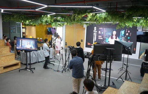 粵港澳直播電商青年創業孵化基地今日正式云啟動 個十百千萬,云創一起上
