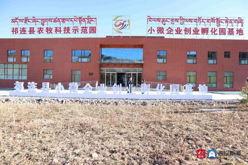祁連山下的山東擔當 濱州市援青干部人才工作紀實