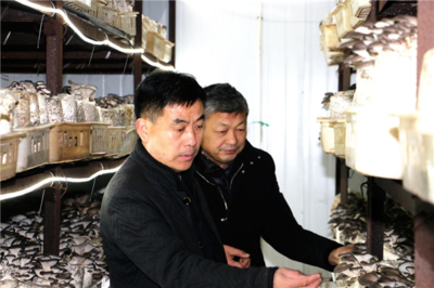天邦農(nóng)業(yè)星創(chuàng)天地創(chuàng)新模式推進(jìn)新發(fā)展