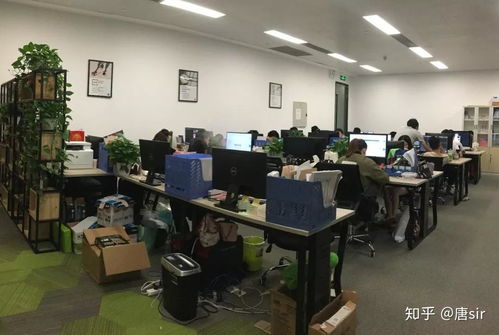 益陽青年創新創業孵化基地與蜜蜂計劃達成合作共識