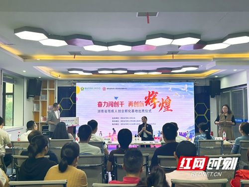 孵化入駐企業70家 帶動1317人就業 湖南省殘疾人創業孵化基地舉辦納新項目大比拼活動