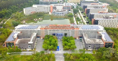 灣區科創帶成長記 頭雁 反哺,新秀逐浪
