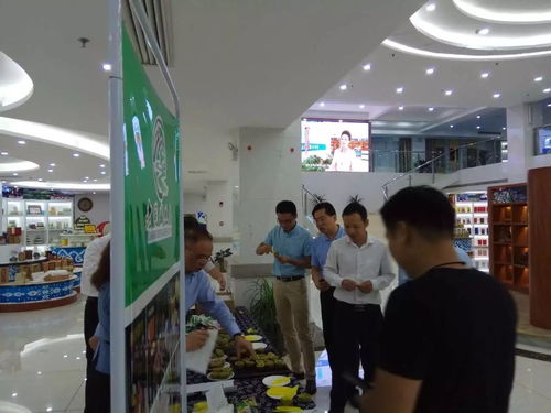 張劍飛副省長率全省地市書記 省直相關部門視察湘西電商創業孵化基地