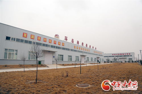 環(huán)縣 搶抓機(jī)遇 六統(tǒng)一 電商發(fā)展模式俏走全國