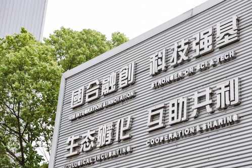 國合基地創(chuàng)新創(chuàng)業(yè)熱土 6年孵化科技企業(yè)61家,集聚有效專利逾百項(xiàng)